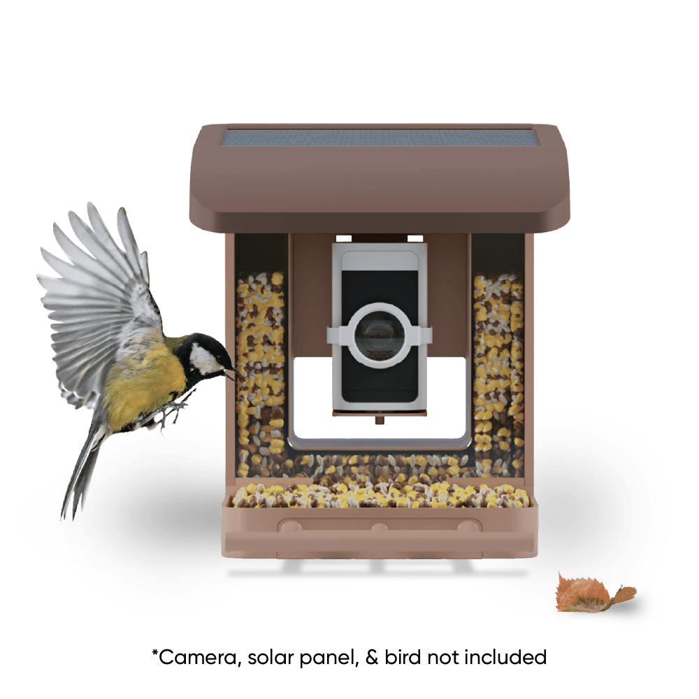Wyze Bird Feeder