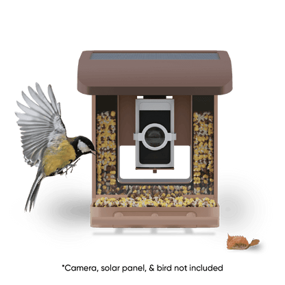 Wyze Bird Feeder
